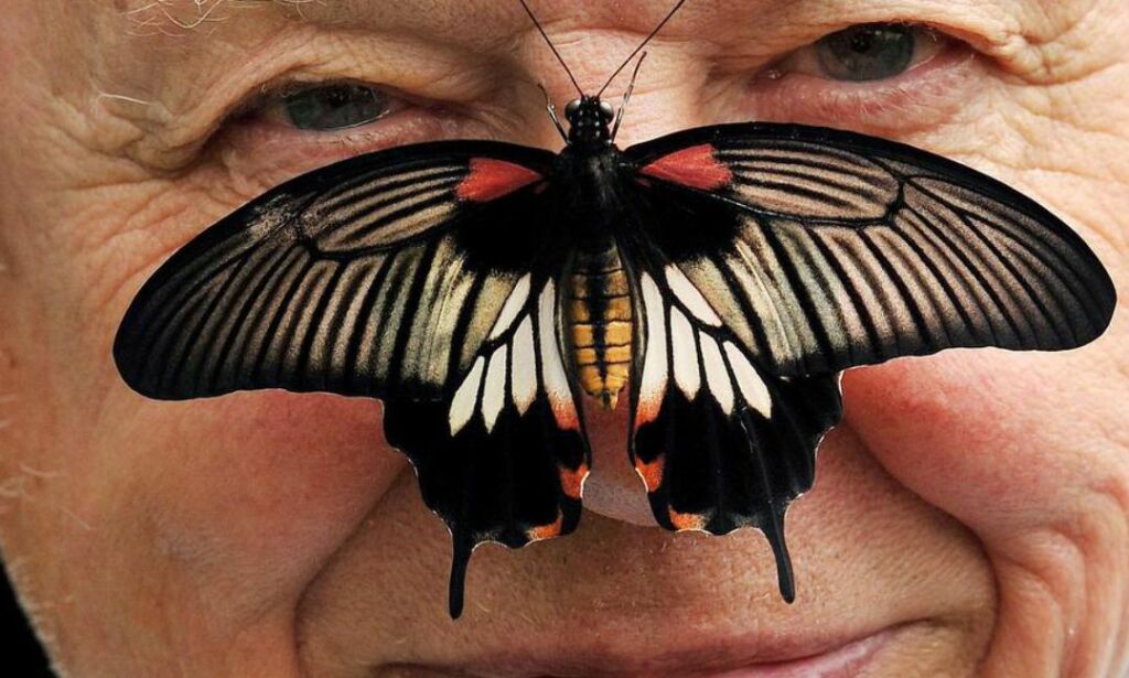 Til tross for alt Sir David Attenborough (90) har opplevd, ble han nylig fullstendig overveldet