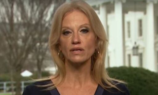Derfor blåser Trump nytt liv i George Orwell-klassikeren