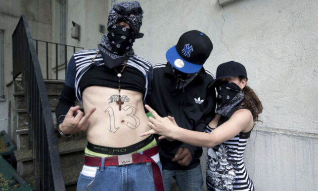 - MS-13 er i Norge, men vi er ingen trussel