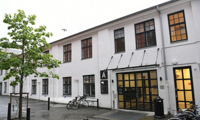 Kritikken mot Kulturrådet: - Dette er ikke kameraderi