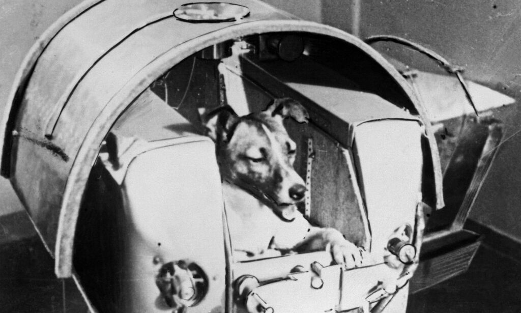 For 60 år siden døde Laika, bare timer etter at hun ble skutt opp i verdensrommet. Det ble skjult i 45 år