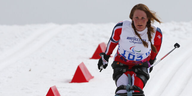 Sterk mistillit til Skistyret. Birgit Skarstein inn