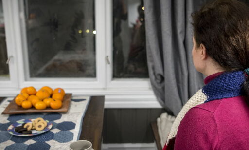 Rettens sakkyndige avviser psykolog-rapport. Moren (46) må møte i retten
