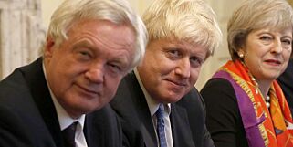- Ny folkeavstemning om Brexit kan skje. Umulig å si om det blir ja eller nei
