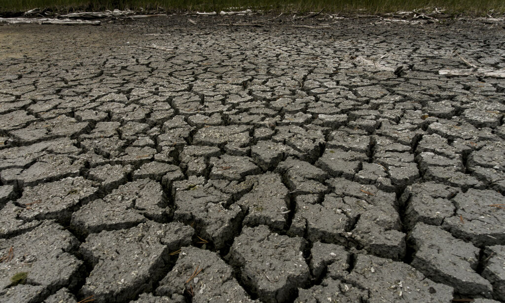 BRENT JORD - klimaforskerne slår alarm etter en sommer der varmerekorder har falt over hele verden