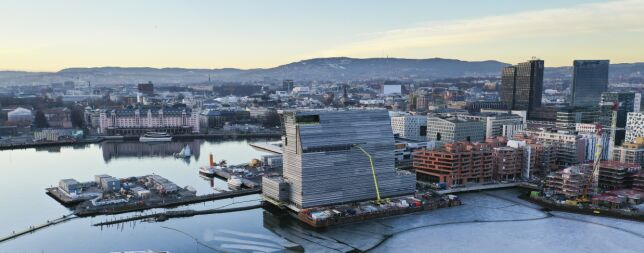 Dette sier byråden om «Lystårn»-slakten