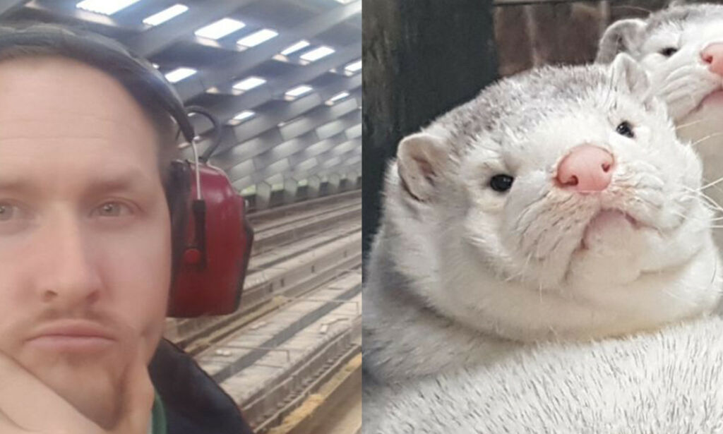Nikolay (33) mister livsverket og får milliongjeld